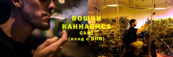 стафф Пересвет