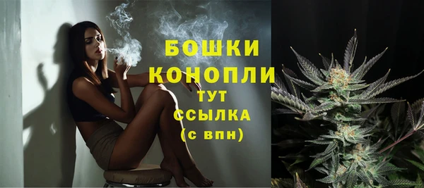 стафф Пересвет