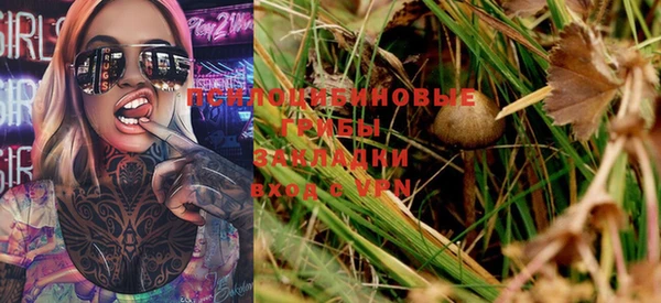 стафф Пересвет