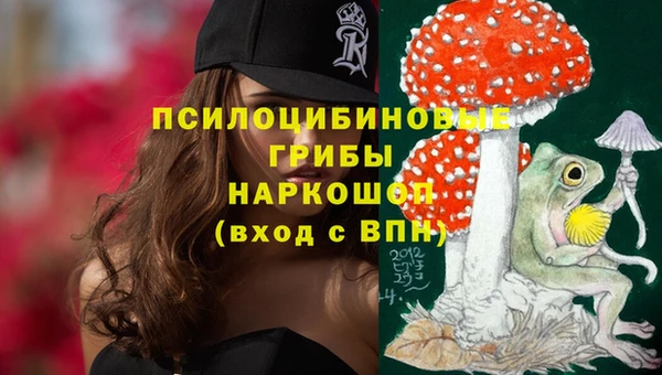 прущий лед Переславль-Залесский
