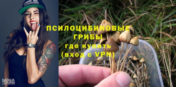прущий лед Переславль-Залесский