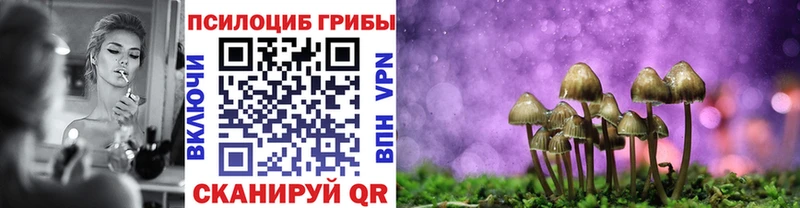 Псилоцибиновые грибы Psilocybe Чегем