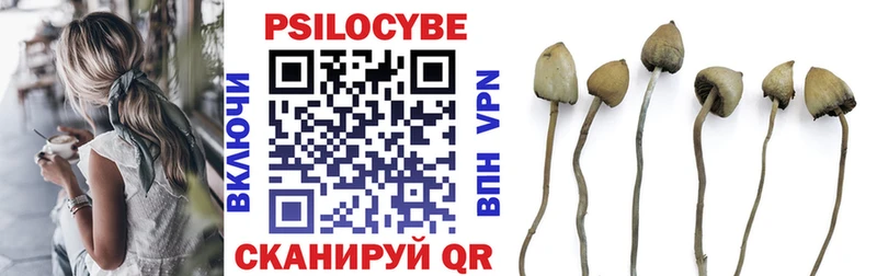что такое   Чегем  Псилоцибиновые грибы Magic Shrooms 